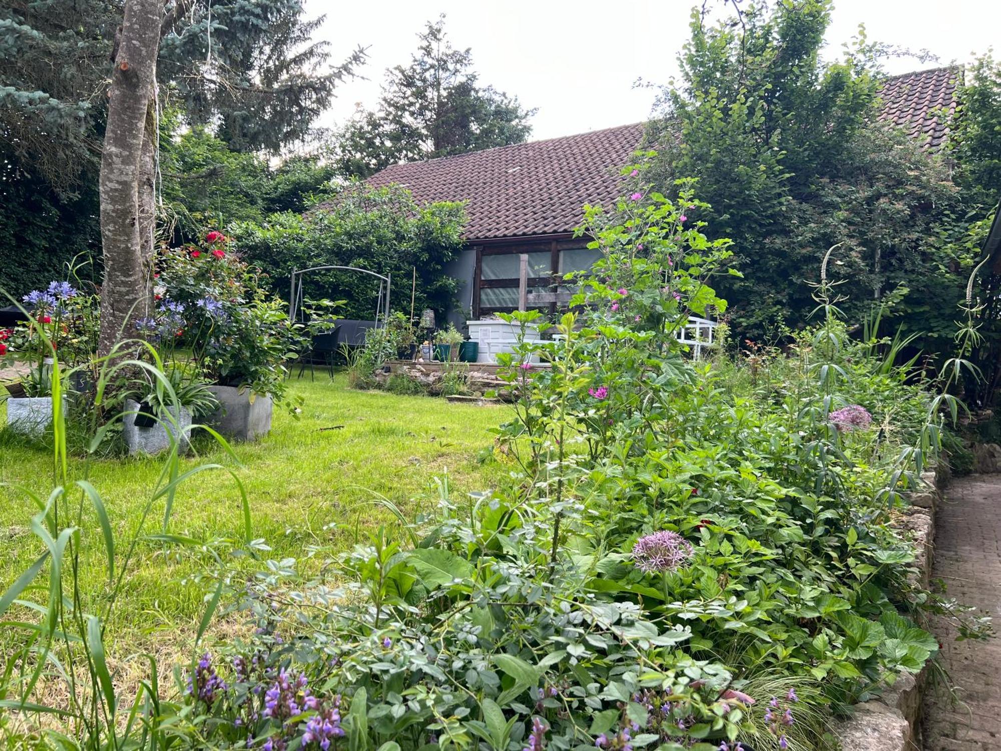 Ferieninrosengarten 1 Zi Appartement 190 Cm Deckenhoehe Oder Grosse 4 Zi Dg Whg Экстерьер фото